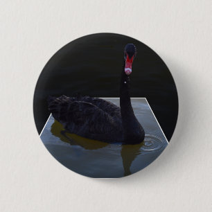 Schwarzer Schwan im Maßteich schwimmen, Button