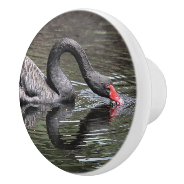 Schwarzer Schwan Keramikknauf (Rechts)
