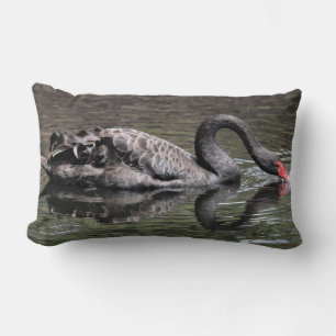 Schwarzer Schwan Lendenkissen