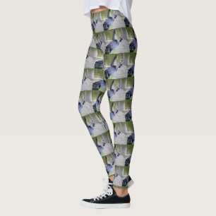 Schwarzer Schwan mit Babys, Leggings