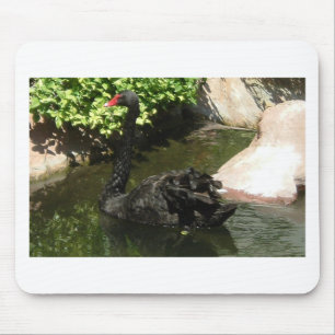 Schwarzer Schwan Mousepad