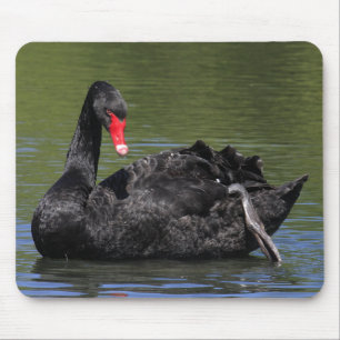 Schwarzer Schwan Mousepad