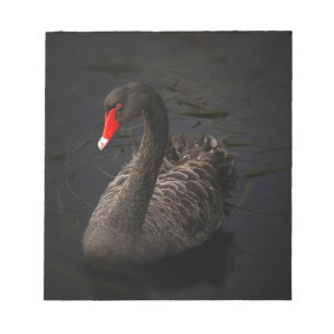 Schwarzer Schwan Notizblock