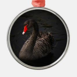 Schwarzer Schwan Ornament Aus Metall