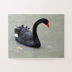 Schwarzer Schwan Puzzle