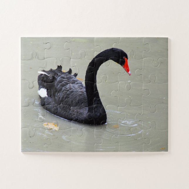 Schwarzer Schwan Puzzle (Horizontal)