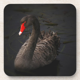 Schwarzer Schwan Untersetzer