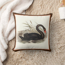 Schwarzer Schwan Vintage