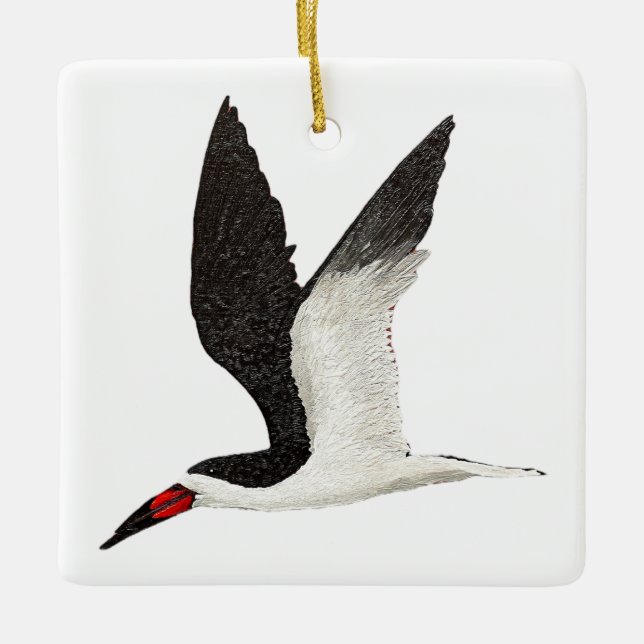 Schwarzer Skimmer Keramikornament (Vorderseite)