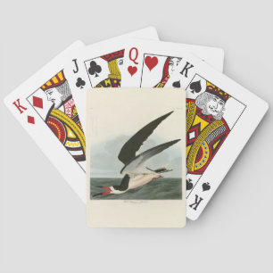 Schwarzer Skimmer, Schwarzwasser Audubon Vögel in  Spielkarten