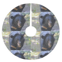 Schwarzer Spectacled Bär