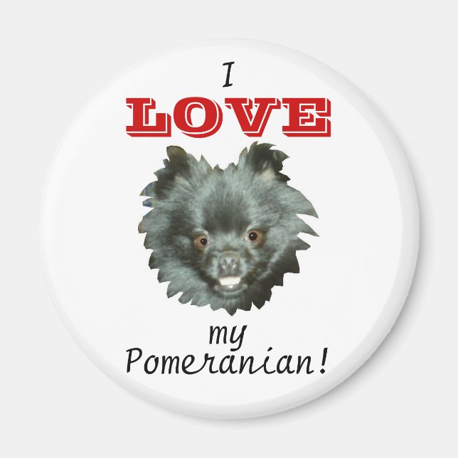 Schwarzer Spitz-I LIEBE mein Spitz! Magnet (Vorne)