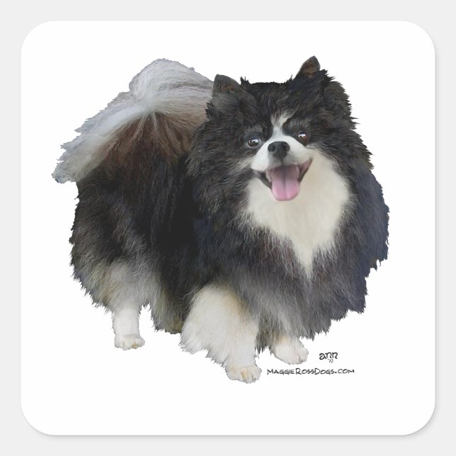 Schwarzer Spitz Quadratischer Aufkleber (Vorderseite)