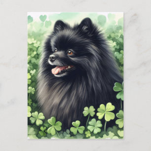 Schwarzer Spitz St Patricks Day Portrait Postkarte