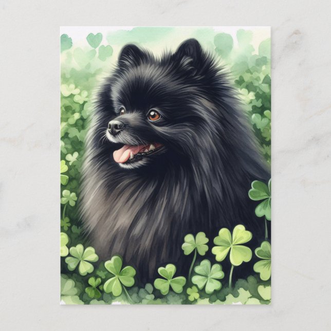Schwarzer Spitz St Patricks Day Portrait Postkarte (Vorderseite)