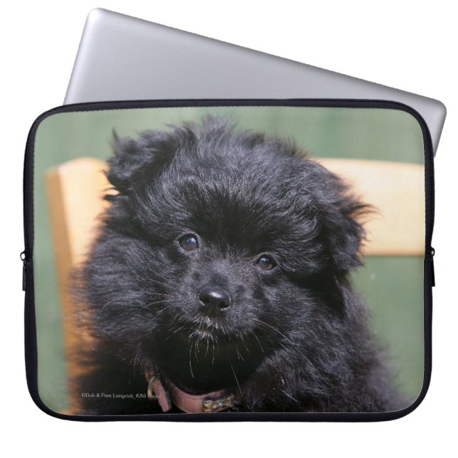 Schwarzer Spitz-Welpe Laptopschutzhülle (Vorderseite)