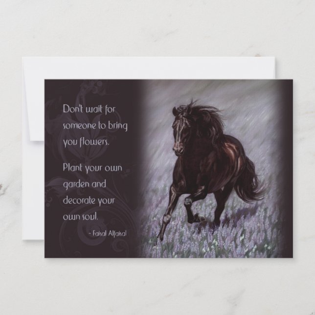 Schwarzer Stallion in einem Feld der Träume (Vorderseite)