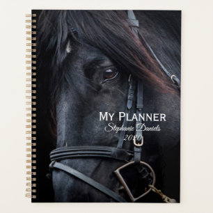 Schwarzer Stallion Planer