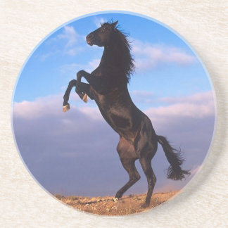 Schwarzer Stallion Sandstein Untersetzer