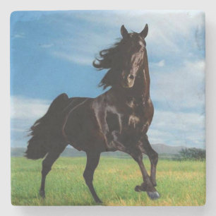 Schwarzer Stallion Steinuntersetzer