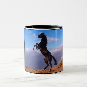 Schwarzer Stallion Zweifarbige Tasse