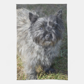 Schwarzer Steinhaufen Terrier Geschirrtuch