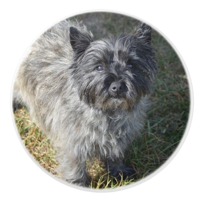 Schwarzer Steinhaufen Terrier Keramikknauf (Vorderseite)