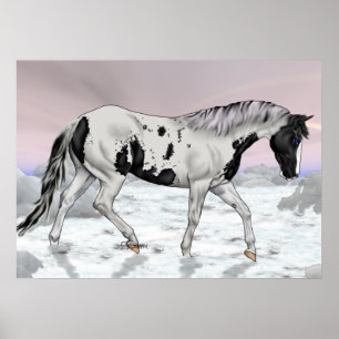 Schwarzer Tovero Paint Horse in Snow Poster