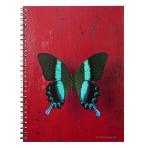 Schwarzer u. blauer Schmetterling Notizblock