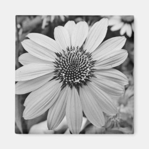 Schwarzer u. weißer Blumen-Magnet Magnet