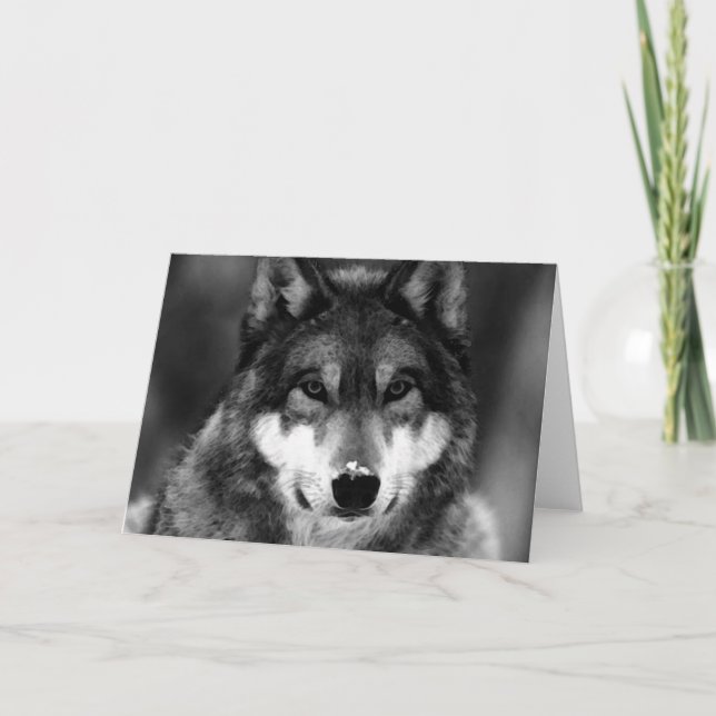 Schwarzer u. weißer Wolf Karte (Vorderseite)