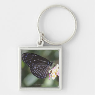 Schwarzer und blauer Schmetterling auf Blume Schlüsselanhänger