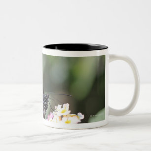 Schwarzer und blauer Schmetterling auf Blume Zweifarbige Tasse