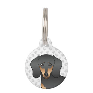 Schwarzer und brauner Kurzhaar-Dachshund süßer Hun Haustiermarke