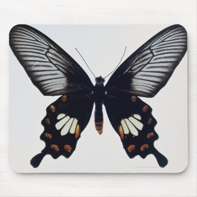 Schwarzer und brauner Schmetterling Mousepad (Vorne)