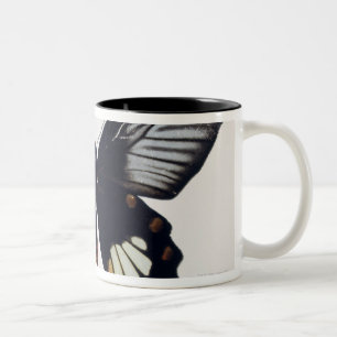 Schwarzer und brauner Schmetterling Zweifarbige Tasse