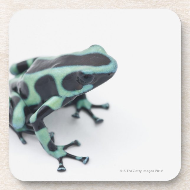 schwarzer und grüner Giftpfeilfrosch (dendrobates Getränkeuntersetzer (Vorderseite)
