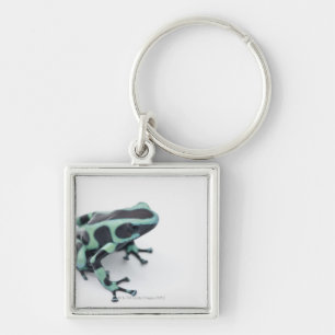 schwarzer und grüner Giftpfeilfrosch (dendrobates Schlüsselanhänger