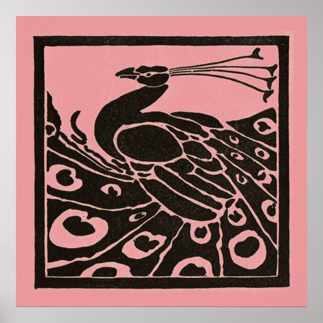 SCHWARZER UND ROSAFARBENER PFau Poster (Vorne)