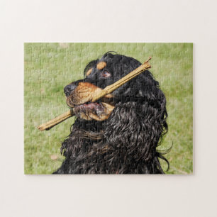 Schwarzer und Tan Playful Cocker Spanischer Welpen Puzzle