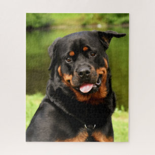 Schwarzer und Tan Rottweiler Welpenhund Puzzle