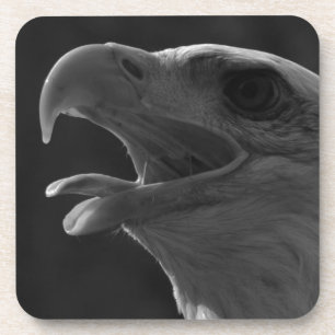 Schwarzer und weißer Adler Getränkeuntersetzer