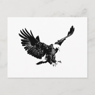 Schwarzer und weißer Adler Postkarte