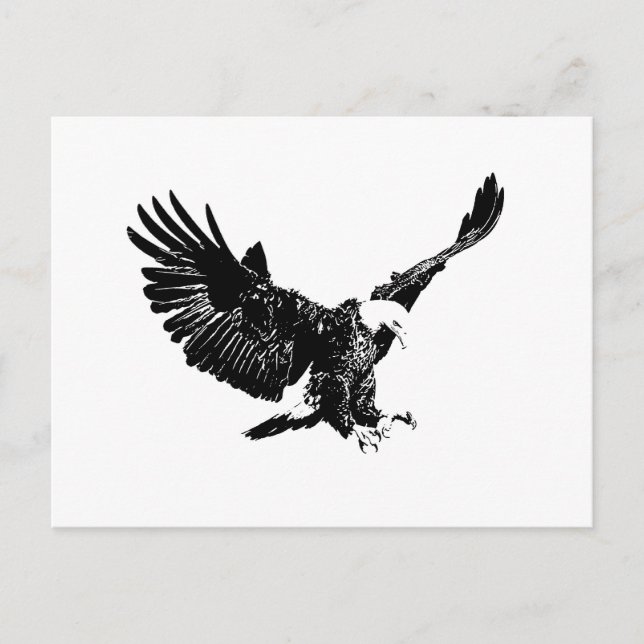 Schwarzer und weißer Adler Postkarte (Vorderseite)