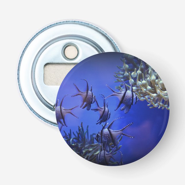 Schwarzer und weißer Angelfisch im tiefen Blauen M Flaschenöffner (Vorderseite)