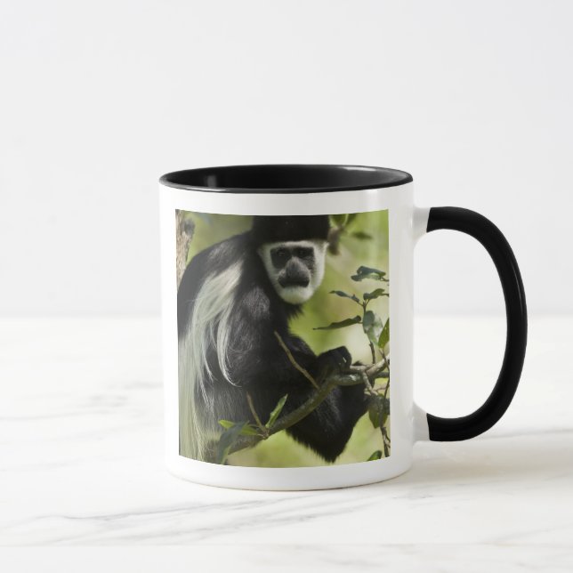 Schwarzer und weißer Colobus-Affe Tasse (Rechts)