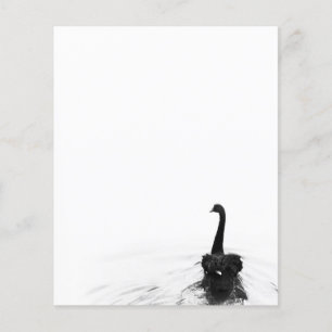 Schwarzer und weißer eleganter Schwarzer Schwan