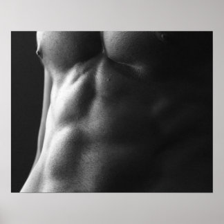 Schwarzer und Weißer Muskulöser Männlicher Torso Poster