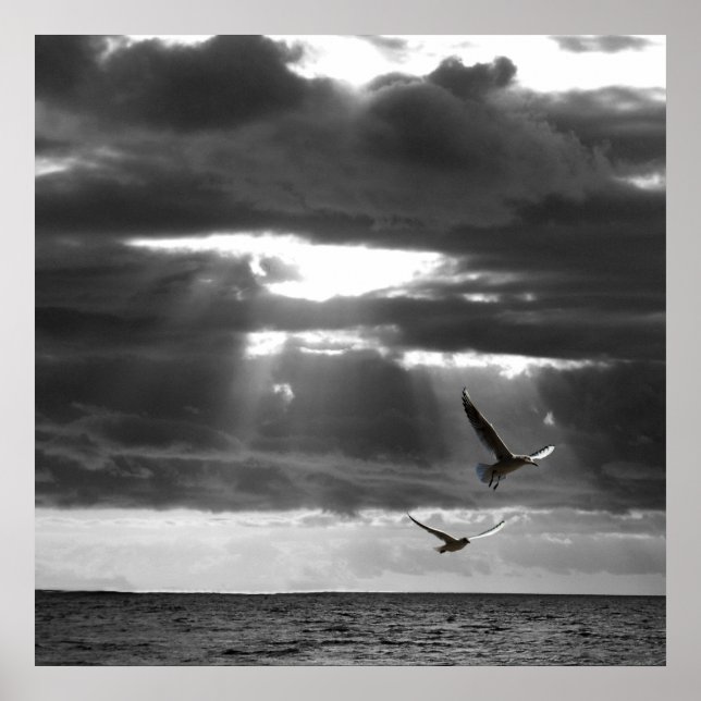 Schwarzer und Weißer Ozean Poster (Vorne)