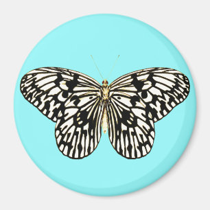 Schwarzer und weißer Schmetterling, türkischer Hin Magnet